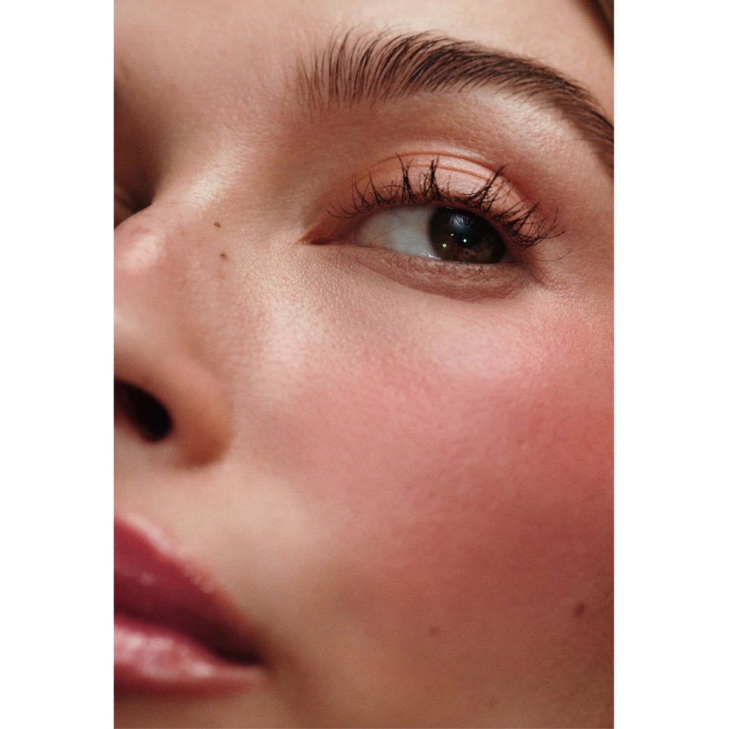 Rhode Pocket Blush