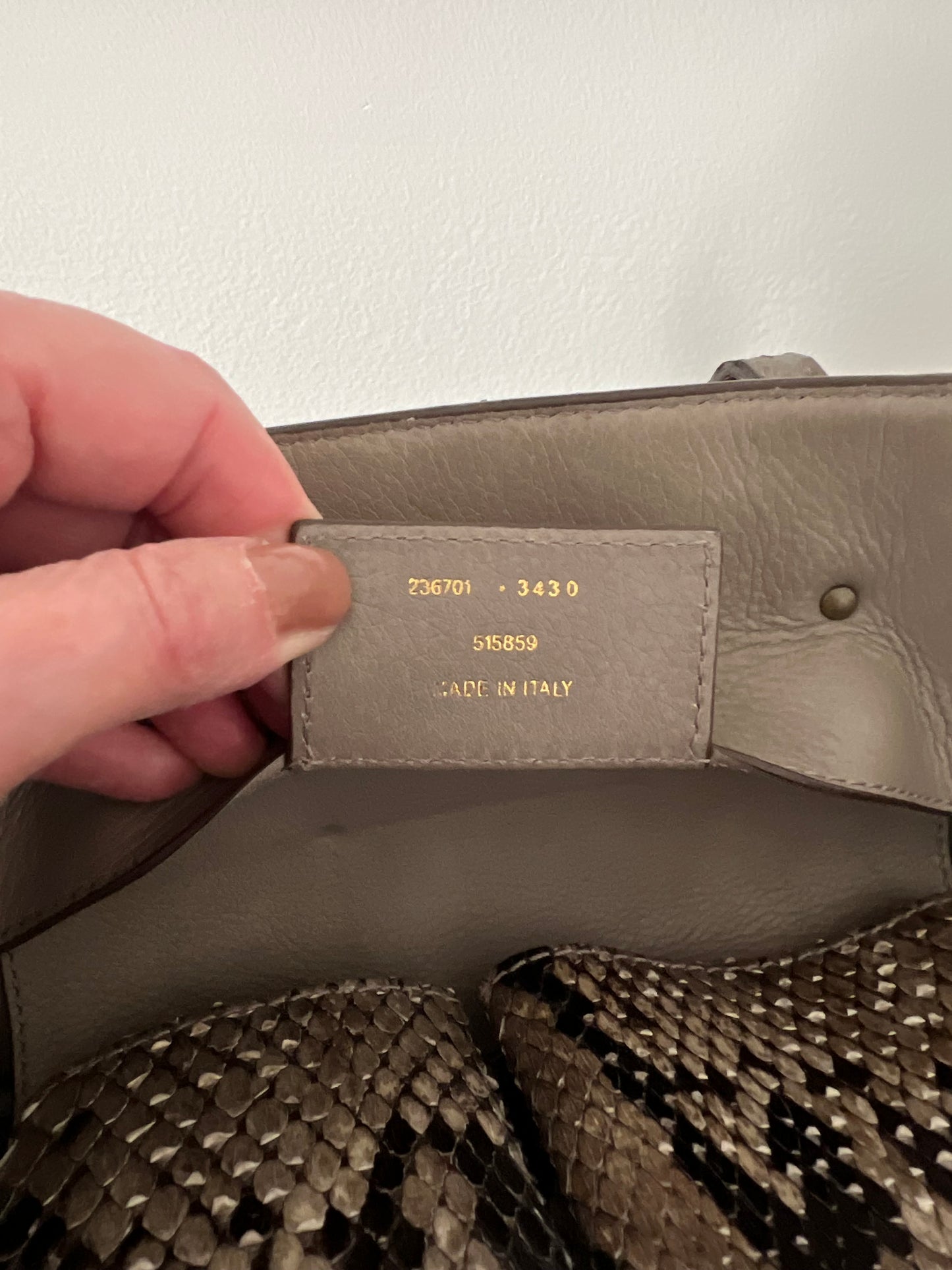 Balenciaga Papier A4 Python Tote