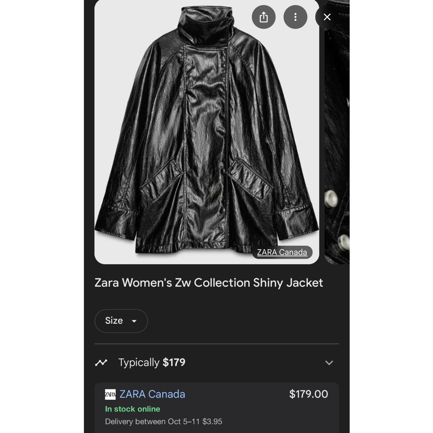 Zara Collection Shiny Jacket