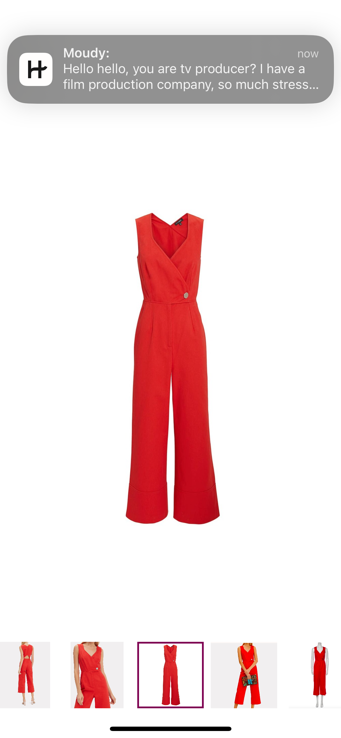 Intermix Jumpsuit