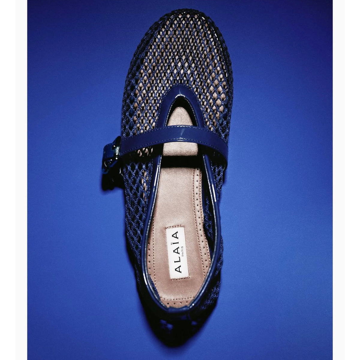 Alaia Fishnet Flats in Fishnet