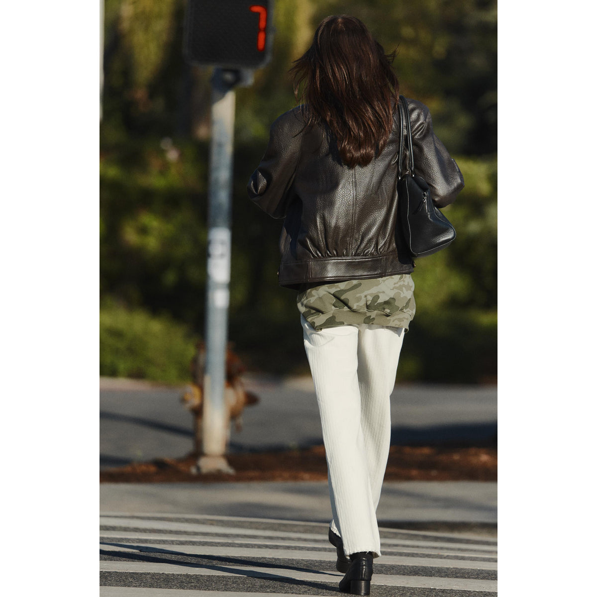Zara 100% Leather Jacket