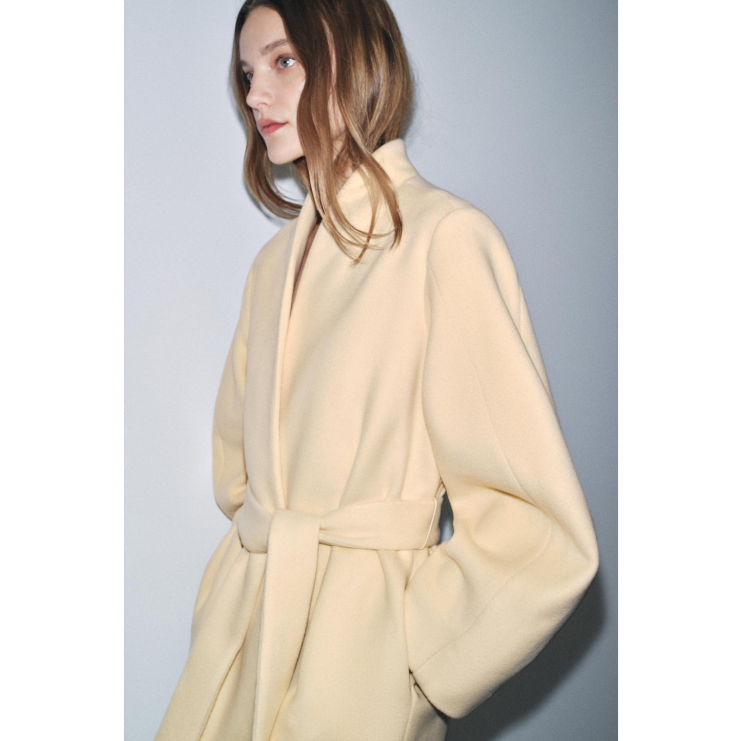 Zara Collection Coat