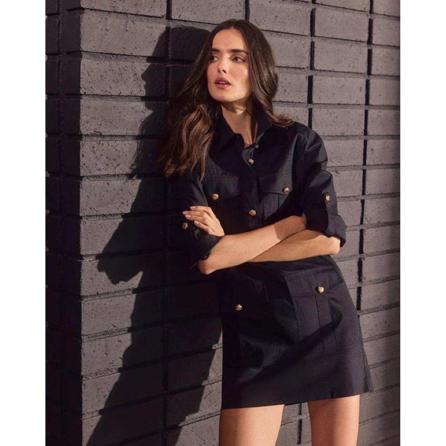 Veronica Beard Utilitarian Dress