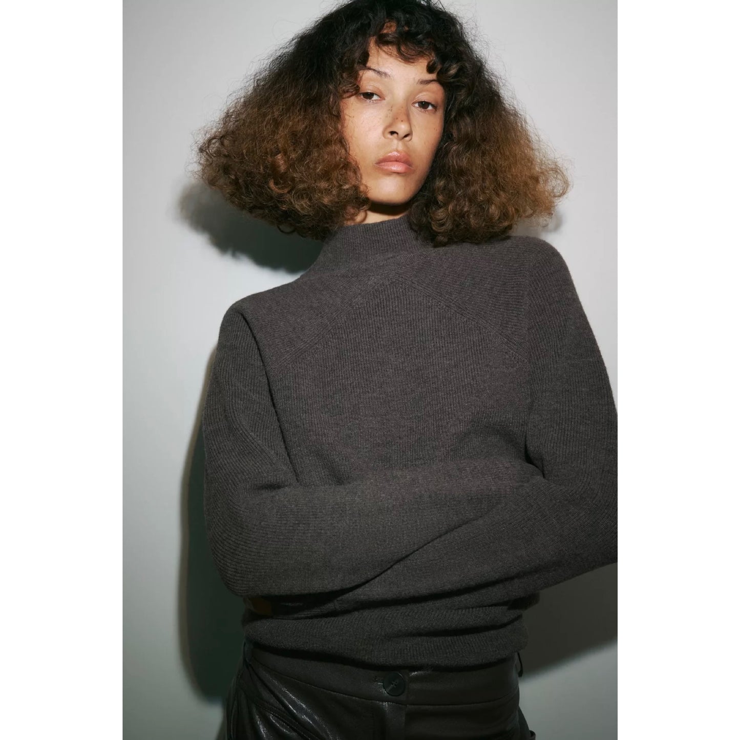 Zara Mockneck Sweater