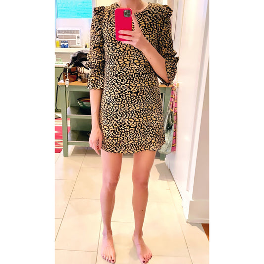 Zara Leopard Print Shift Dress