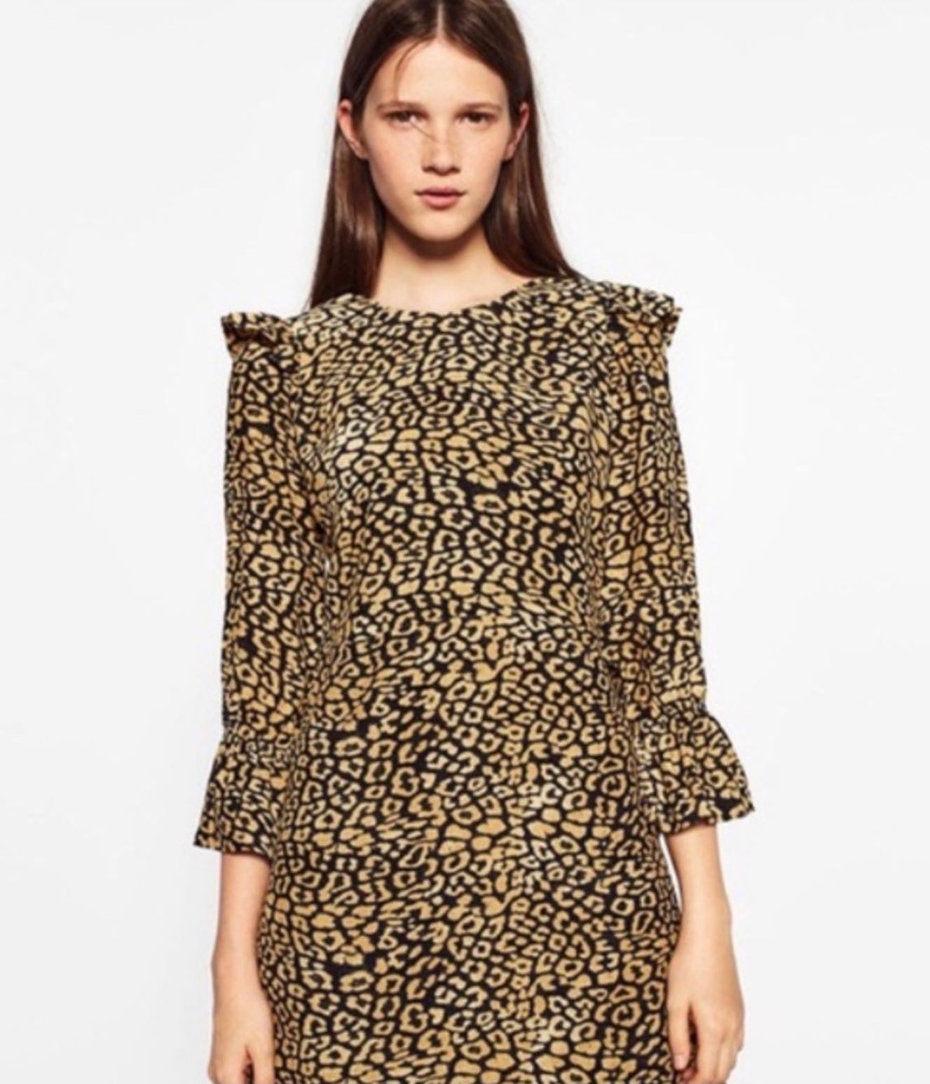 Zara Leopard Print Shift Dress